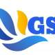 GST EFILING & CONSULTANCY SERVICES...